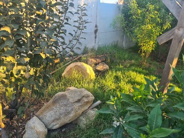 Imagen 9