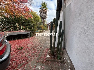Imagen 9
