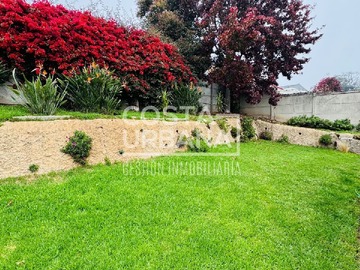 Imagen 27