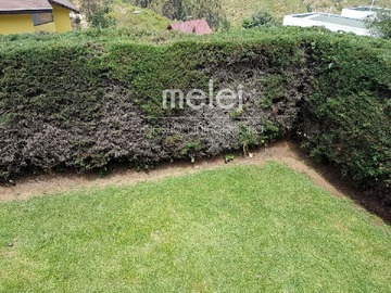 Imagen 6