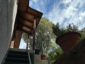 Imagen 26
