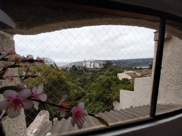 Imagen 21