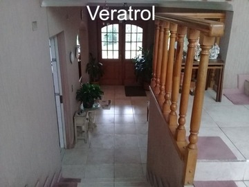 Imagen 14