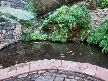 Imagen 26