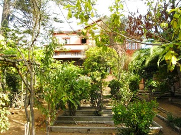 Imagen 22