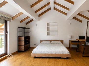 Imagen 13