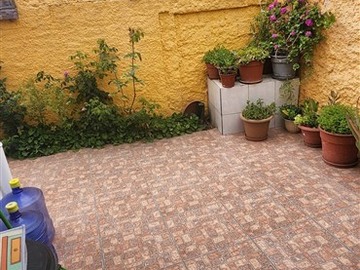Imagen 20