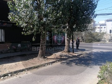 Imagen 12
