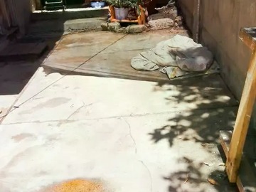 Imagen 4