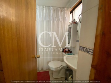 Imagen 10