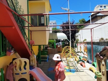 Imagen 25