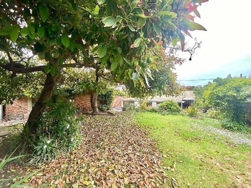 Imagen 30