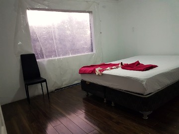 Imagen 5