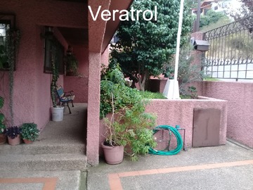 Imagen 0