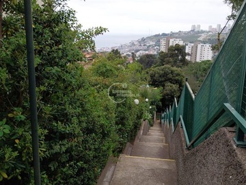 Imagen 7