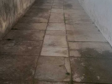 Imagen 15