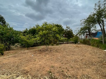 Imagen 8