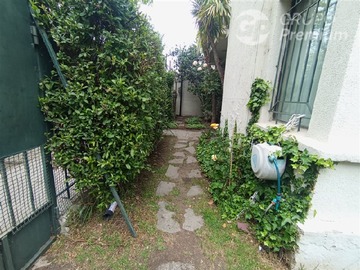 Imagen 30