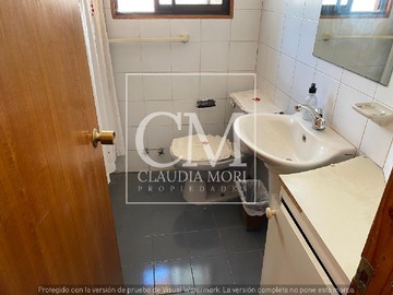 Imagen 11