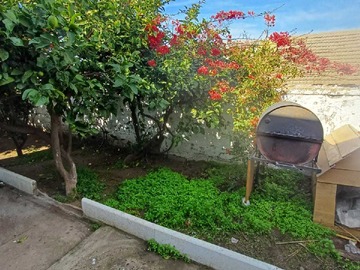 Imagen 6