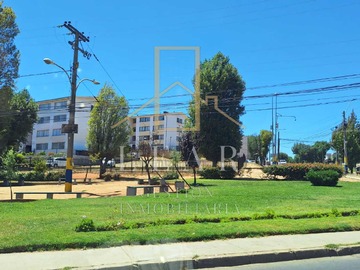 Imagen 15