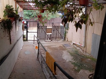 Imagen 7