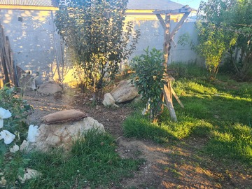 Imagen 28