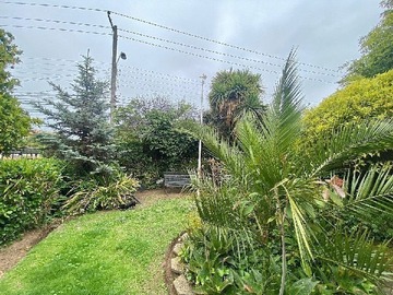 Imagen 6
