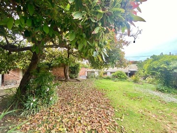 Imagen 30