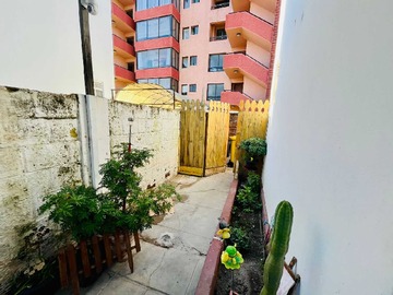 Imagen 20