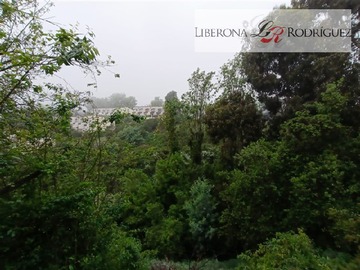 Imagen 36