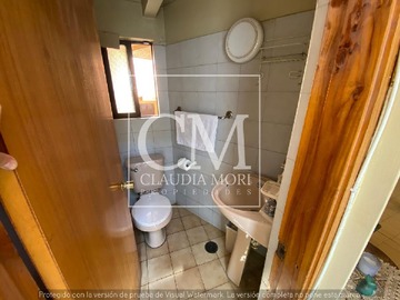 Imagen 20