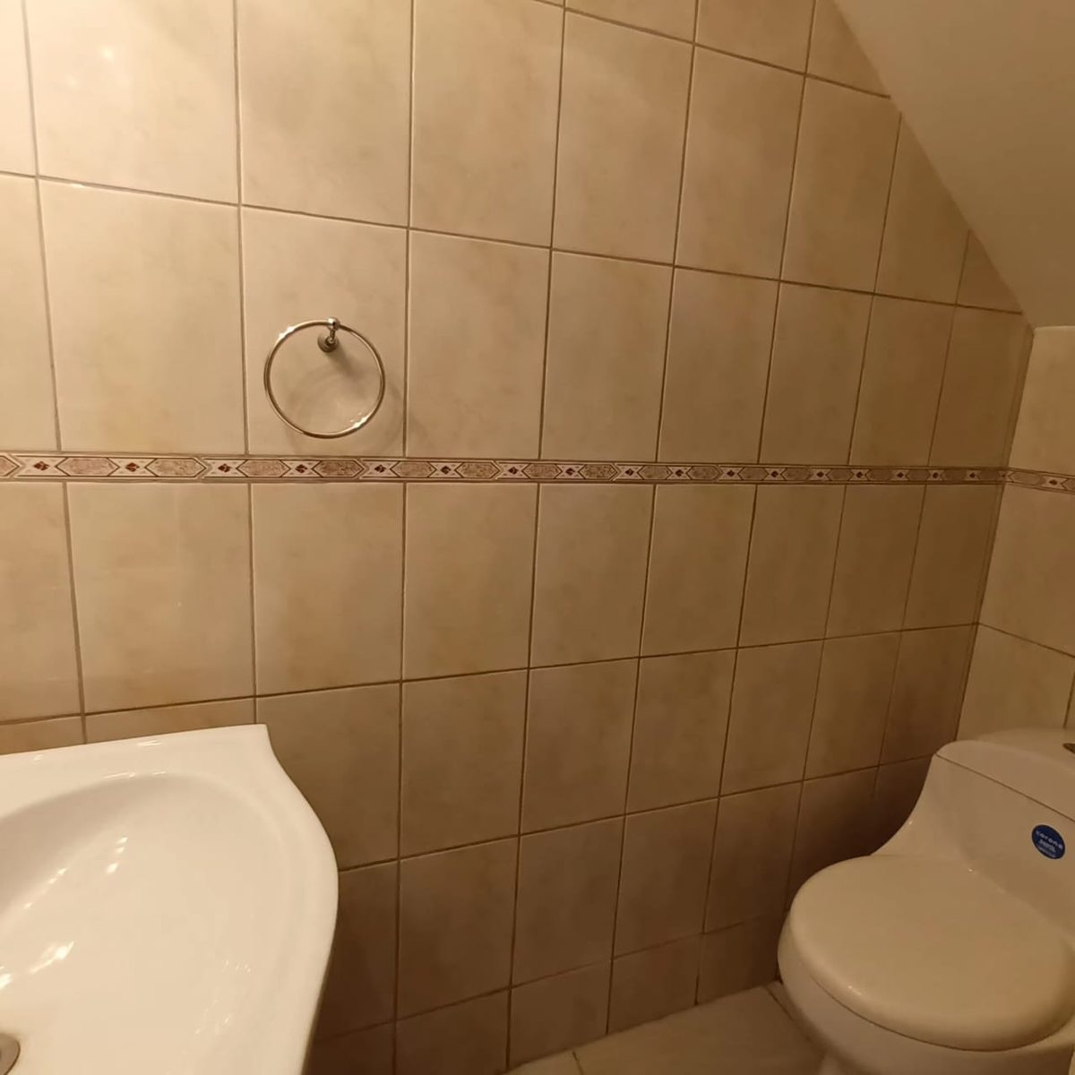 Baño visitas