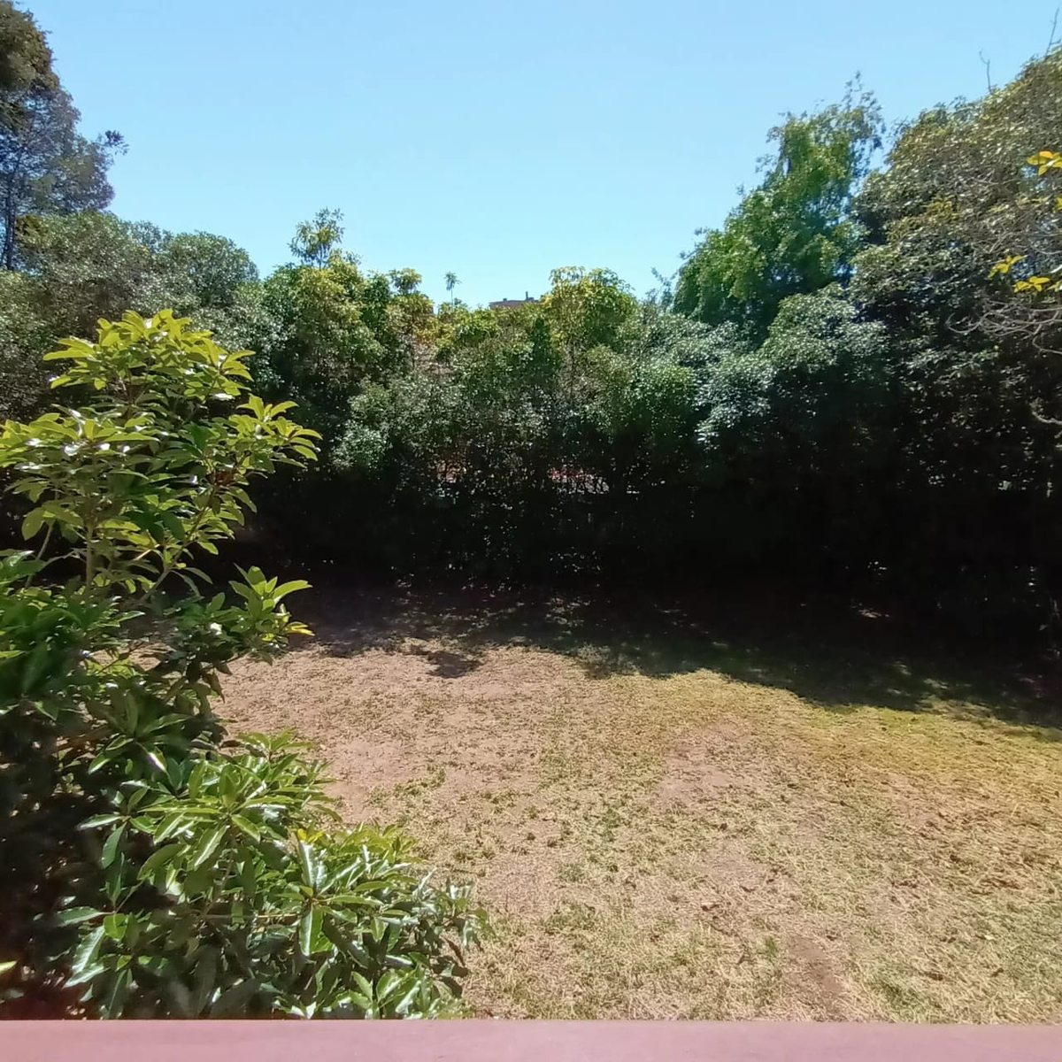 Gran patio