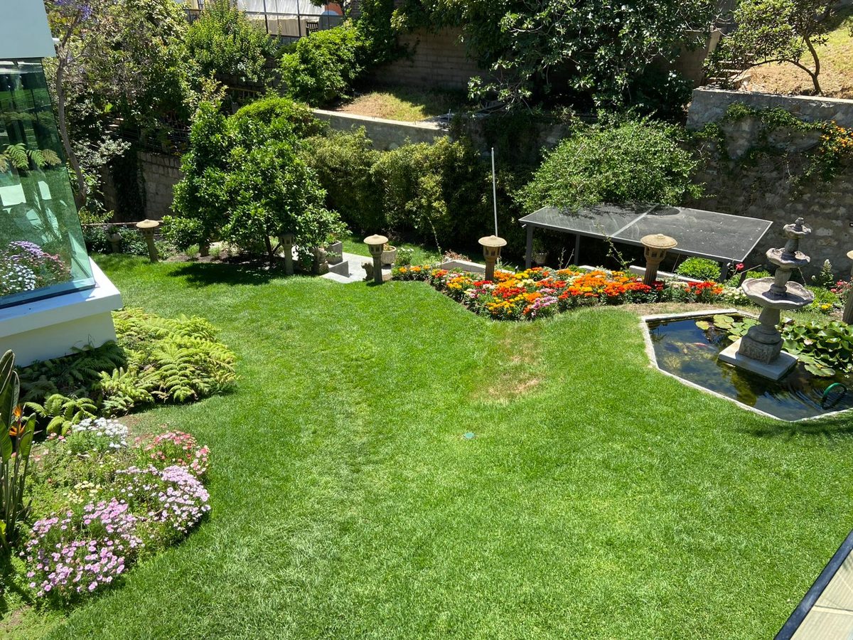Jardín