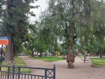 Imagen 12