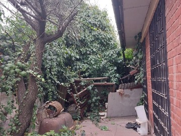 Imagen 11