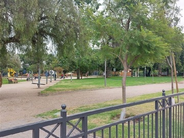 Imagen 13