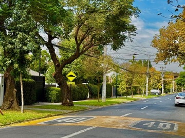 Imagen 14