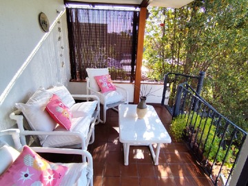 Imagen 19