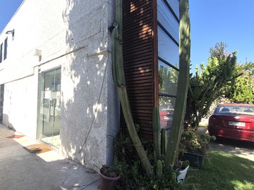 Venta / Casa / Vitacura