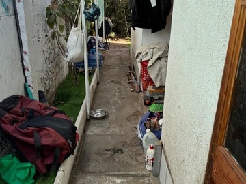 Imagen 19
