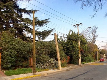 Imagen 11