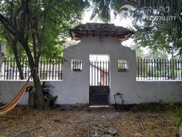 Imagen 5