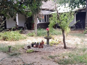 Imagen 13