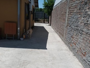 Imagen 3