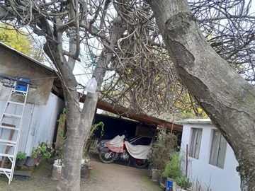 Imagen 12