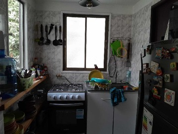 Imagen 5