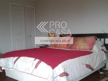 Imagen 13