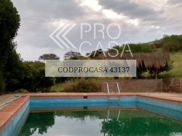 Imagen 15